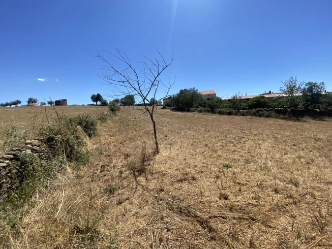 Terreno para Venda em Izeda, Calvelhe e Paradinha Nova Foto 4