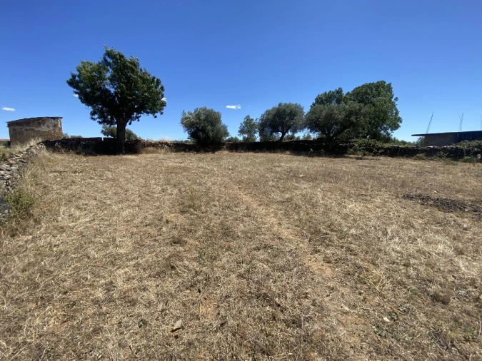Terreno para Venda em Izeda, Calvelhe e Paradinha Nova Foto 7