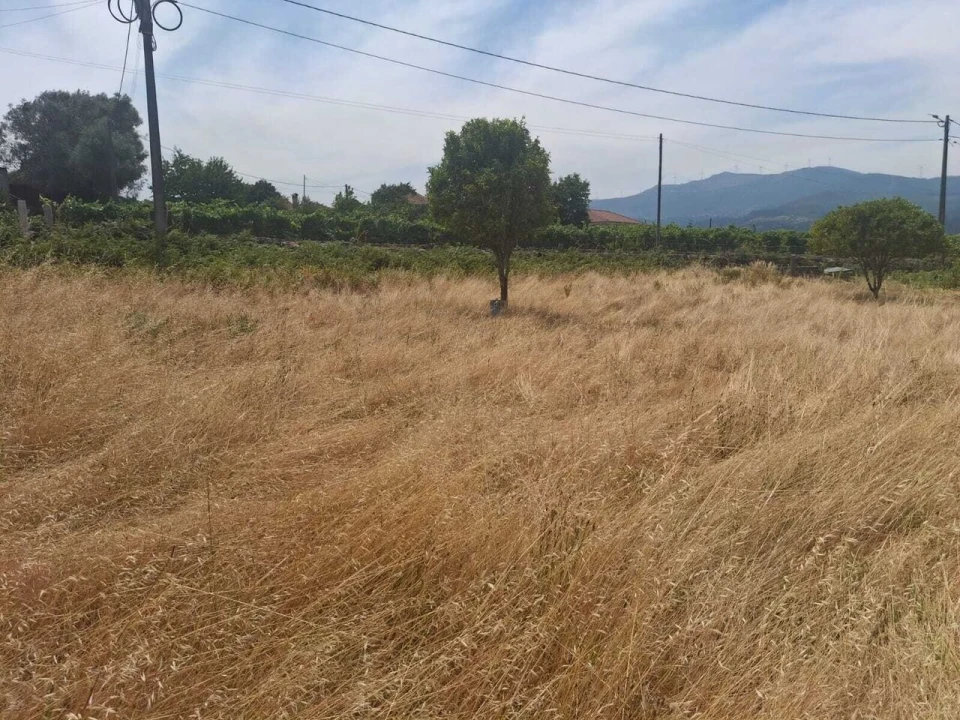 Terreno para Venda em Ceivães e Badim Foto 1