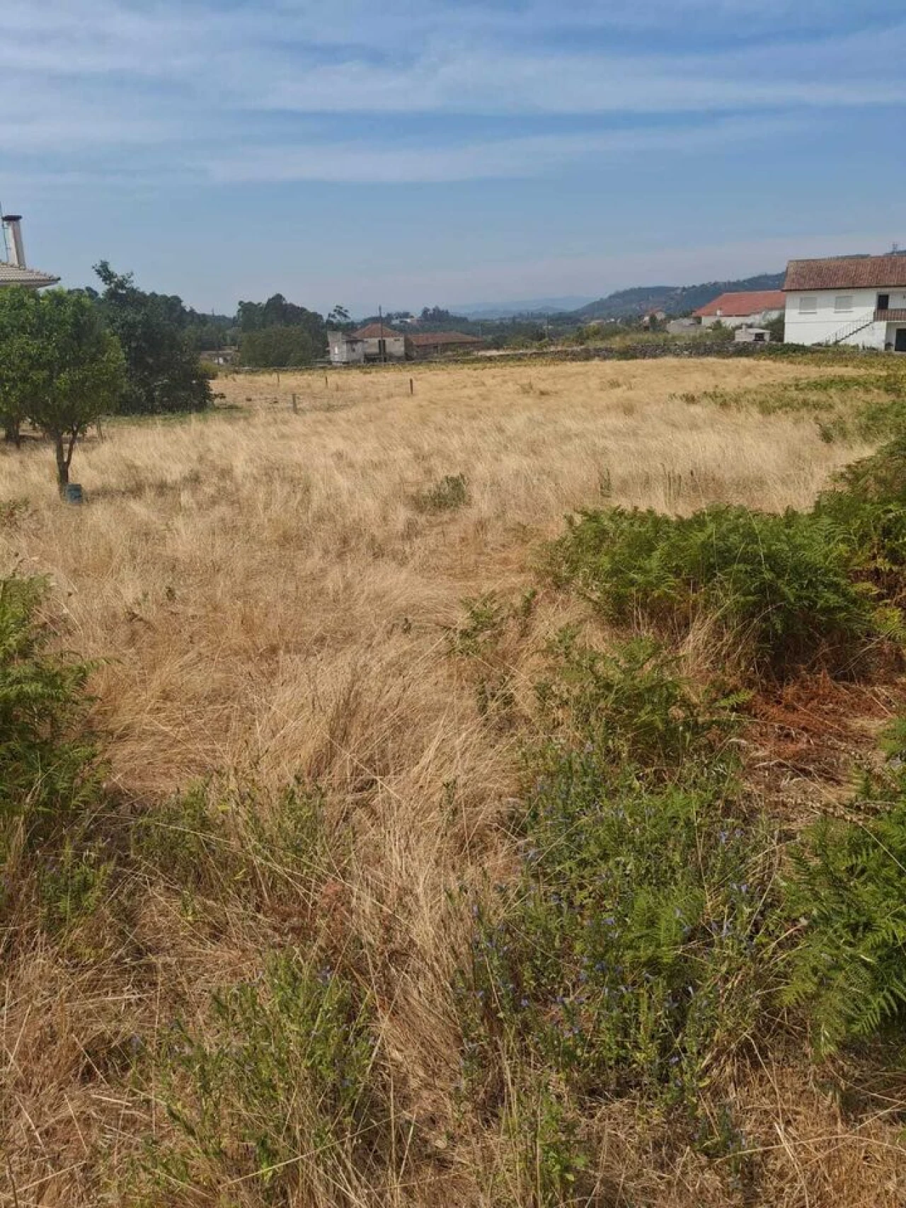 Terreno para Venda em Ceivães e Badim Foto 3