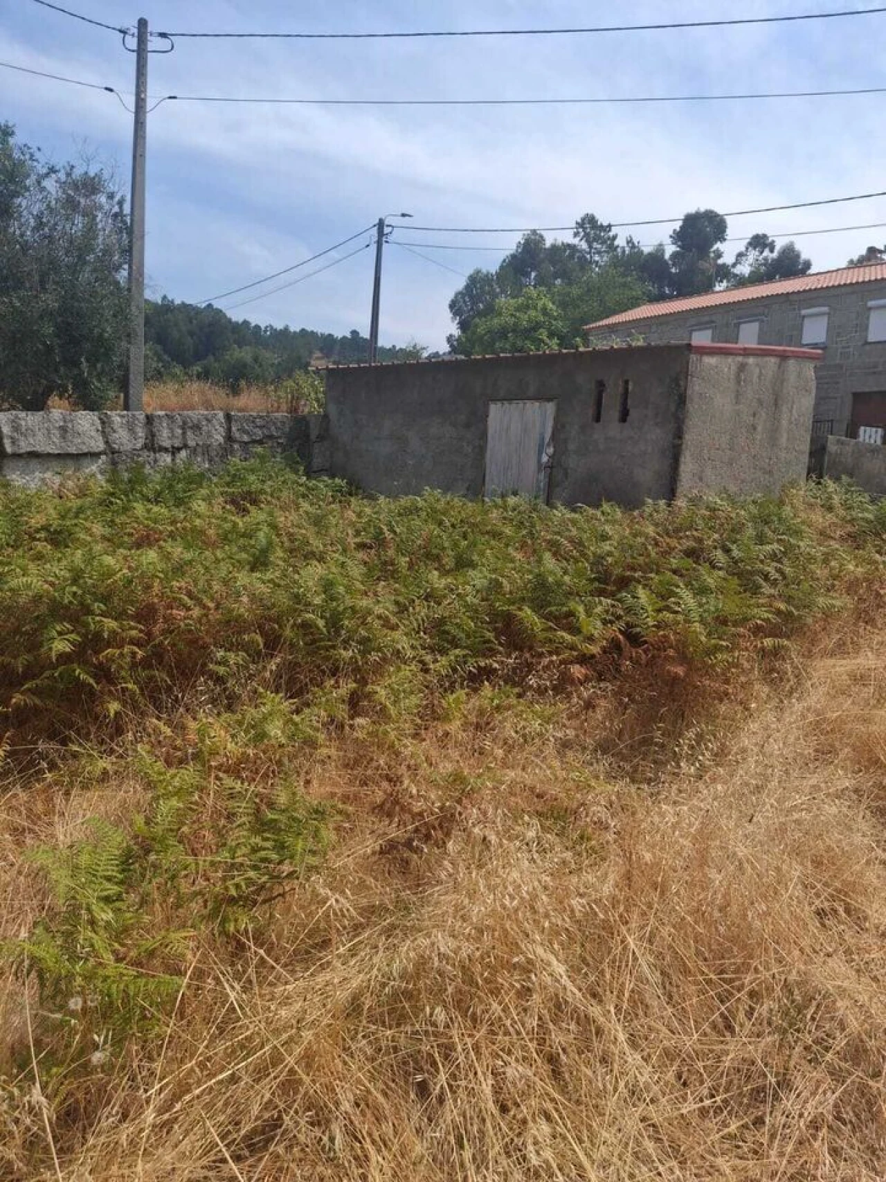 Terreno para Venda em Ceivães e Badim Foto 4