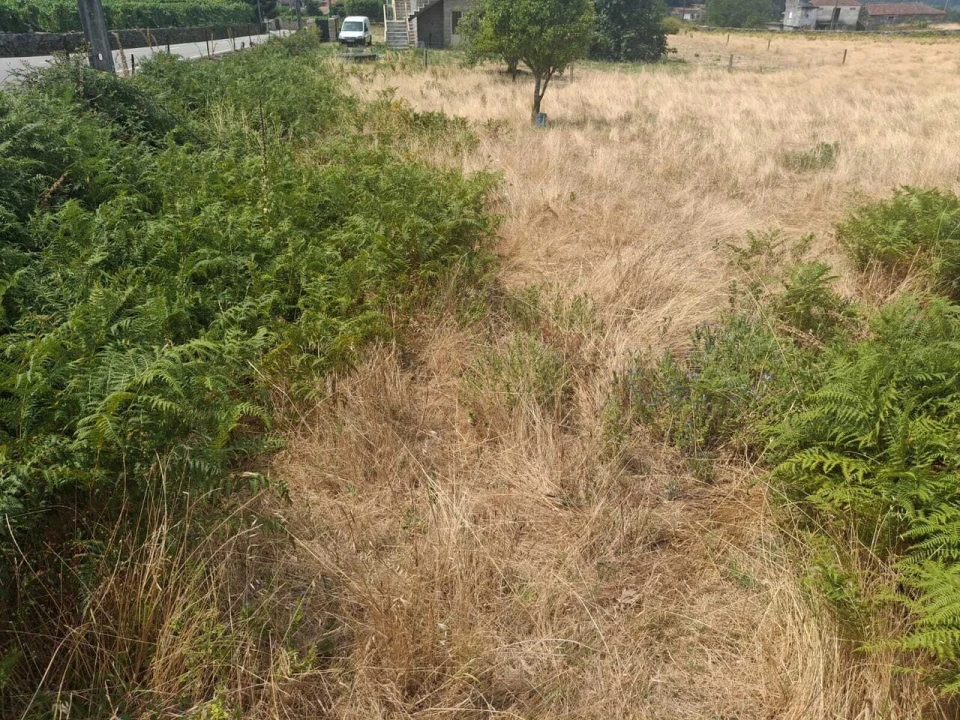 Terreno para Venda em Ceivães e Badim Foto 5