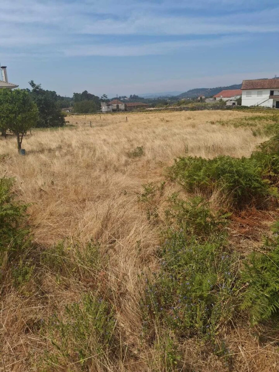 Terreno para Venda em Ceivães e Badim Foto 3