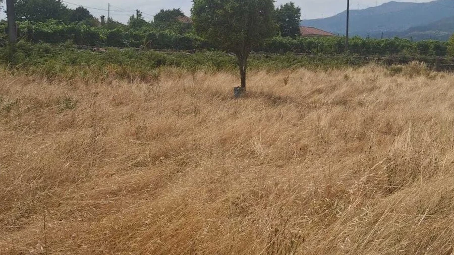Terreno para Venda em Ceivães e Badim