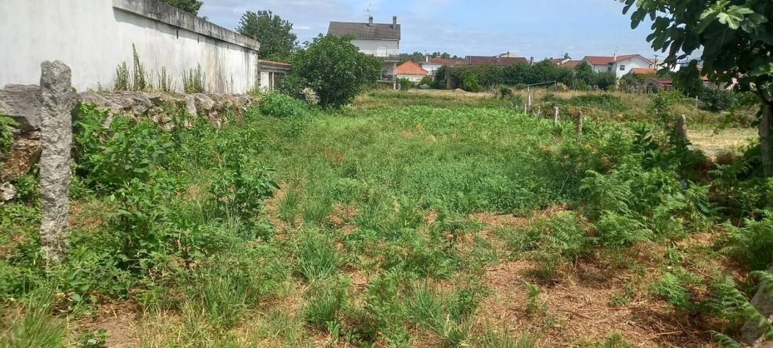 Terreno para Venda em Monção e Troviscoso Foto 3