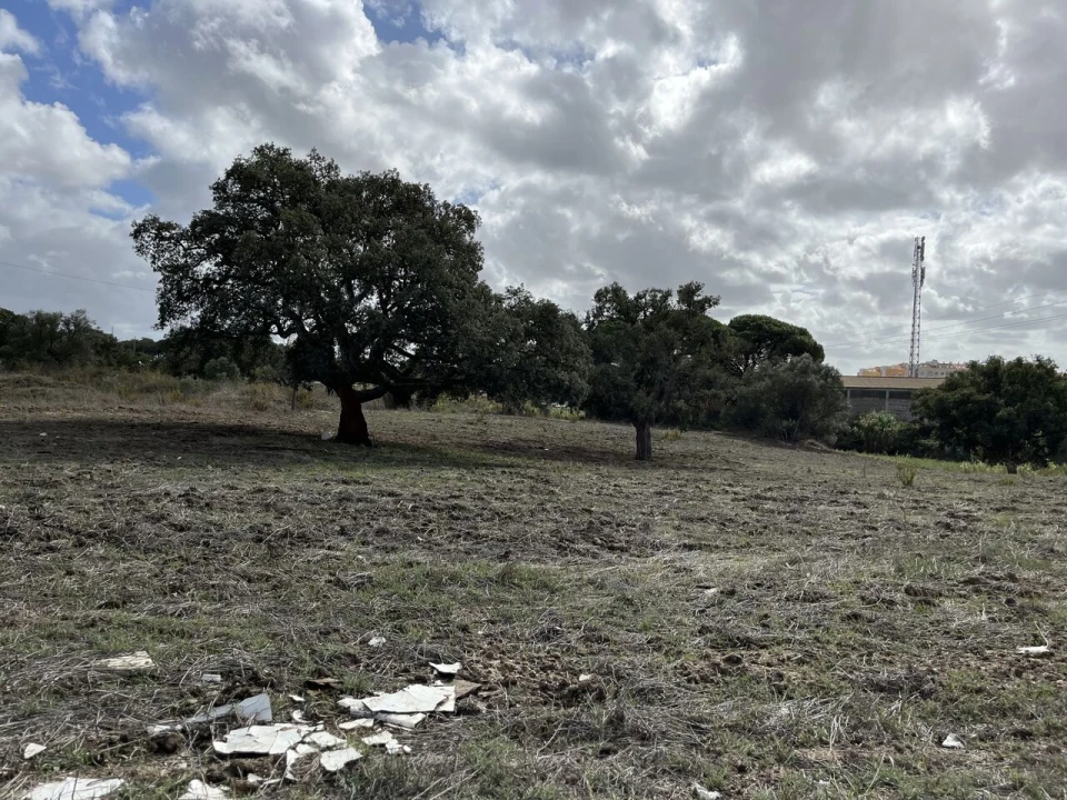 Terreno para Venda em Montijo e Afonsoeiro Foto 7
