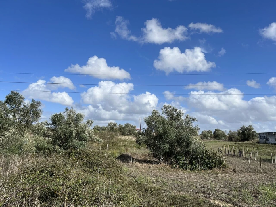 Terreno para Venda em Montijo e Afonsoeiro Foto 8
