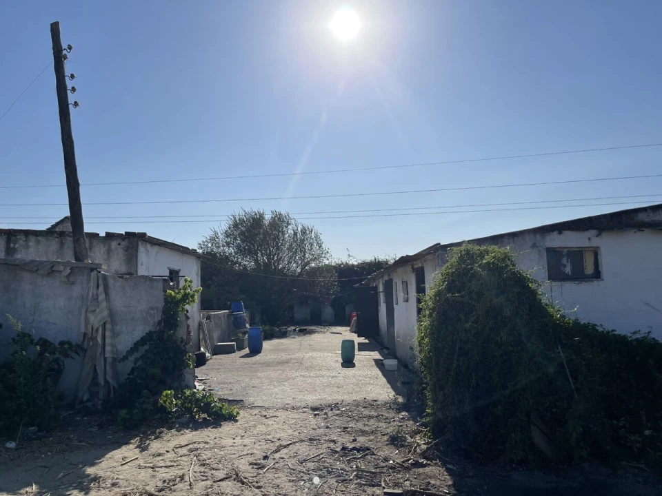 Terreno para Venda em Montijo e Afonsoeiro Foto 22