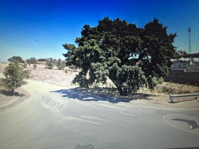 Terreno para Venda em Montijo e Afonsoeiro Foto 12