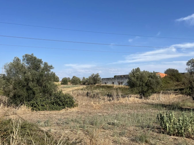 Terreno para Venda em Montijo e Afonsoeiro Foto 25