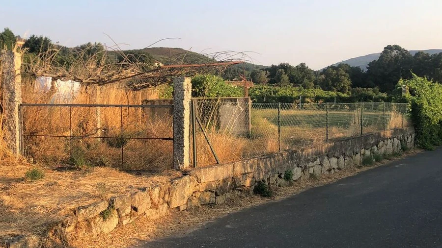 Terreno para Venda em Sago, Lordelo e Parada