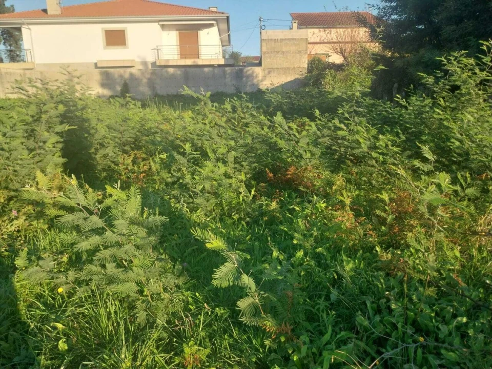 Terreno para Venda em Mazedo e Cortes Foto 4
