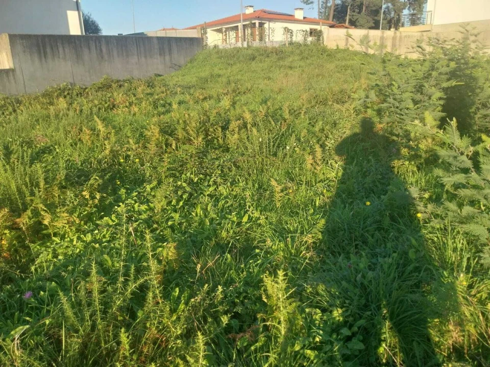 Terreno para Venda em Mazedo e Cortes Foto 7