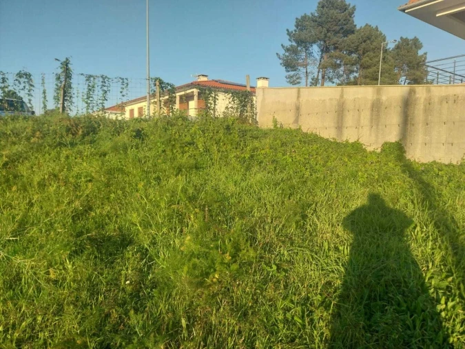 Terreno para Venda em Mazedo e Cortes