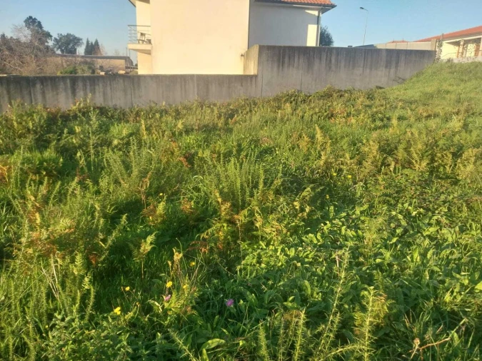 Terreno para Venda em Mazedo e Cortes Foto 3