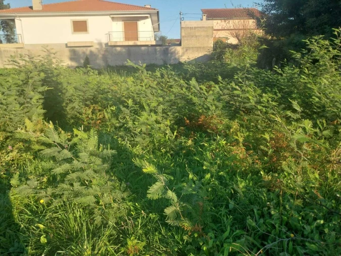Terreno para Venda em Mazedo e Cortes Foto 4