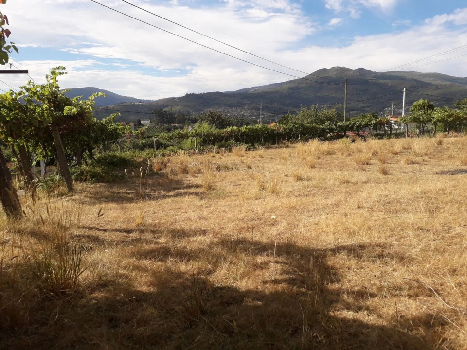 Terreno para Venda em Messegães, Valadares e Sá Foto 1