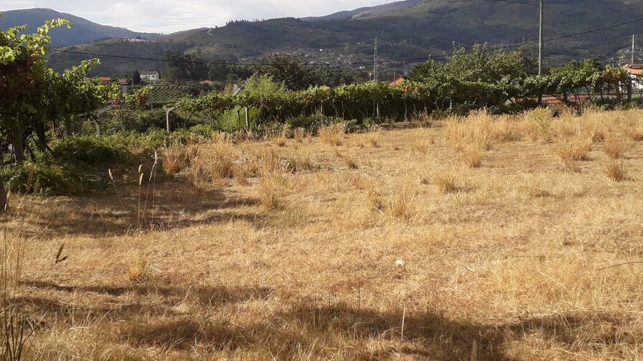 Terreno para Venda em Messegães, Valadares e Sá