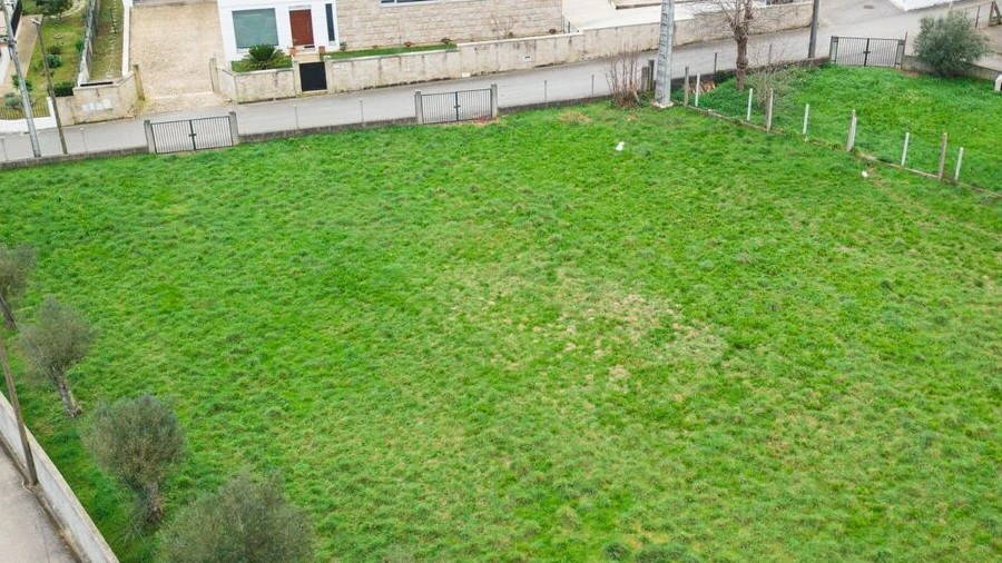Terreno para Venda em Campos e Vila Meã