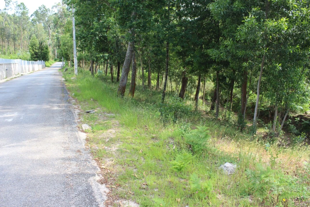 Terreno para Venda em Mazedo e Cortes Foto 2