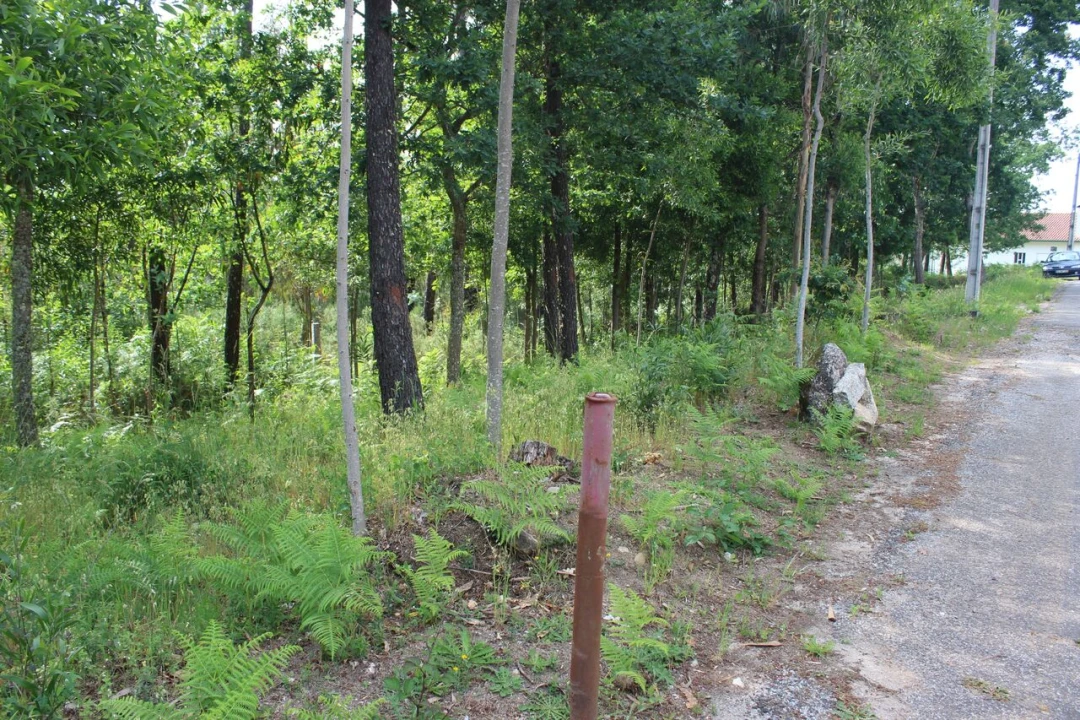 Terreno para Venda em Mazedo e Cortes Foto 3