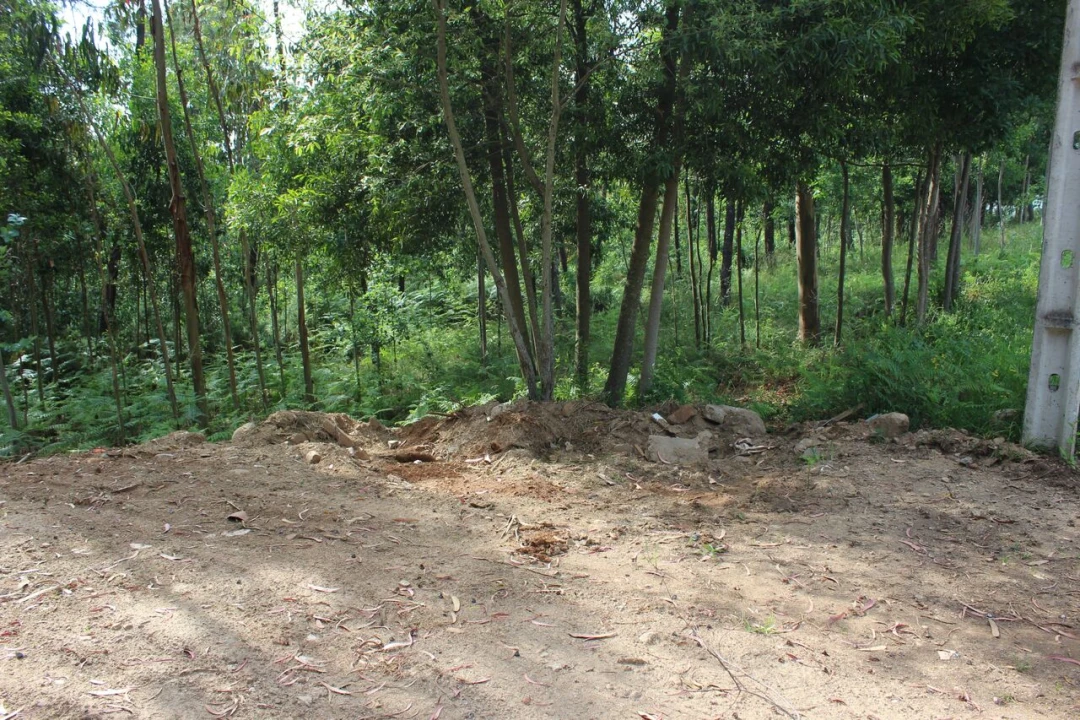Terreno para Venda em Mazedo e Cortes Foto 5