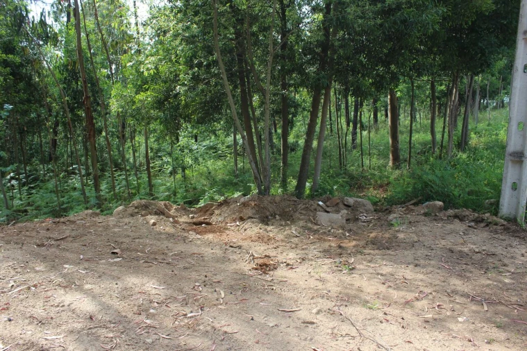 Terreno para Venda em Mazedo e Cortes Foto 5