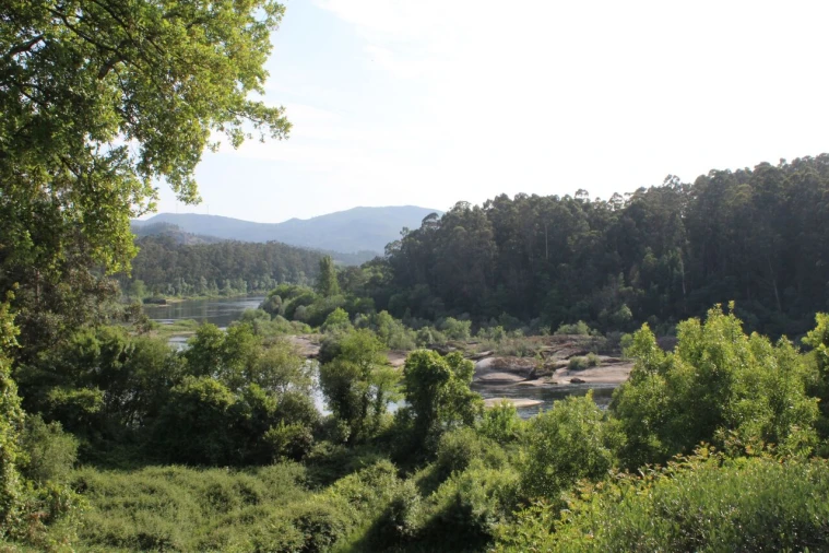 Terreno para Venda em Mazedo e Cortes Foto 6