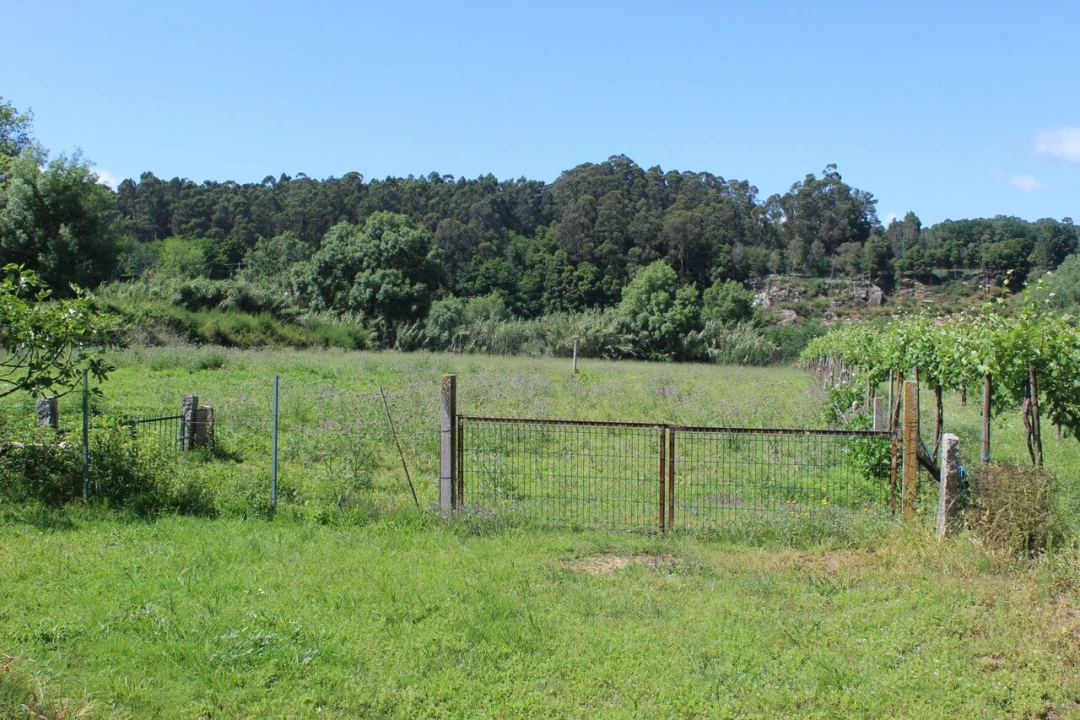 Terreno para Venda em Mazedo e Cortes Foto 2