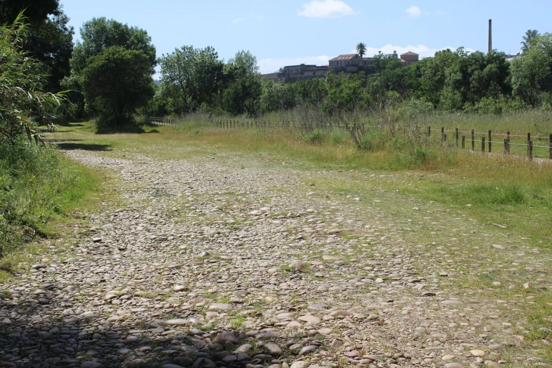 Terreno para Venda em Mazedo e Cortes Foto 5