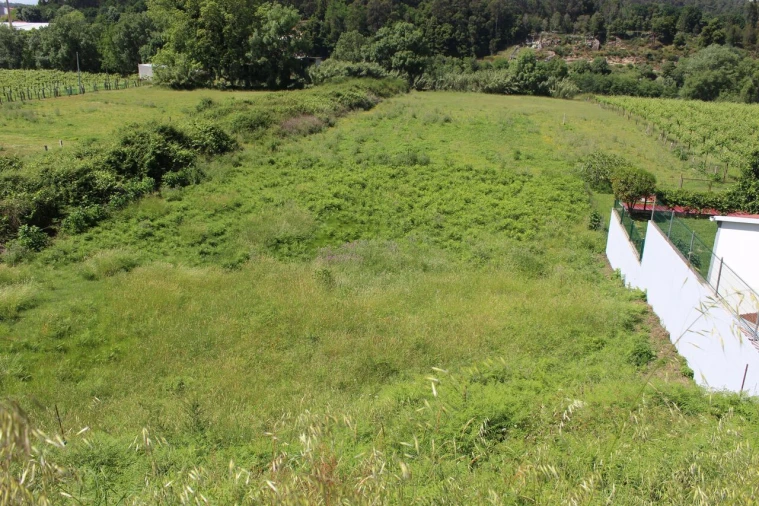 Terreno para Venda em Mazedo e Cortes