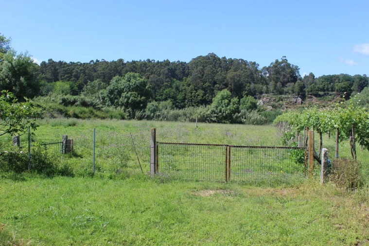Terreno para Venda em Mazedo e Cortes Foto 2