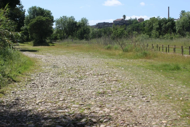 Terreno para Venda em Mazedo e Cortes Foto 5