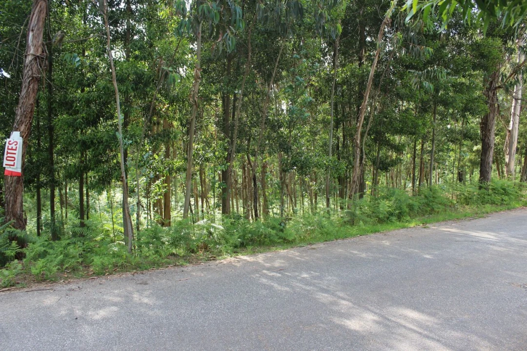 Terreno para Venda em Mazedo e Cortes Foto 2