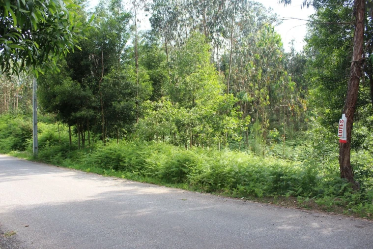 Terreno para Venda em Mazedo e Cortes Foto 3