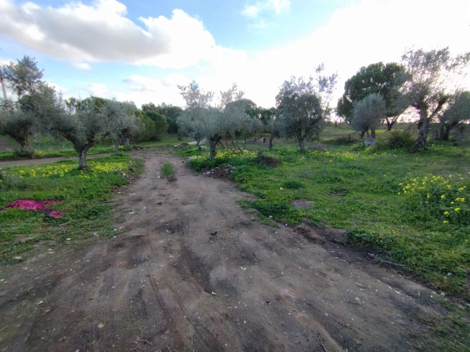 Quinta T2 para Venda em Ponte de Sor, Tramaga e Vale de Açor Foto 3