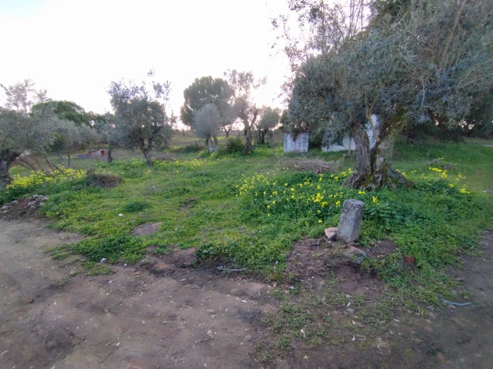 Quinta T2 para Venda em Ponte de Sor, Tramaga e Vale de Açor Foto 4