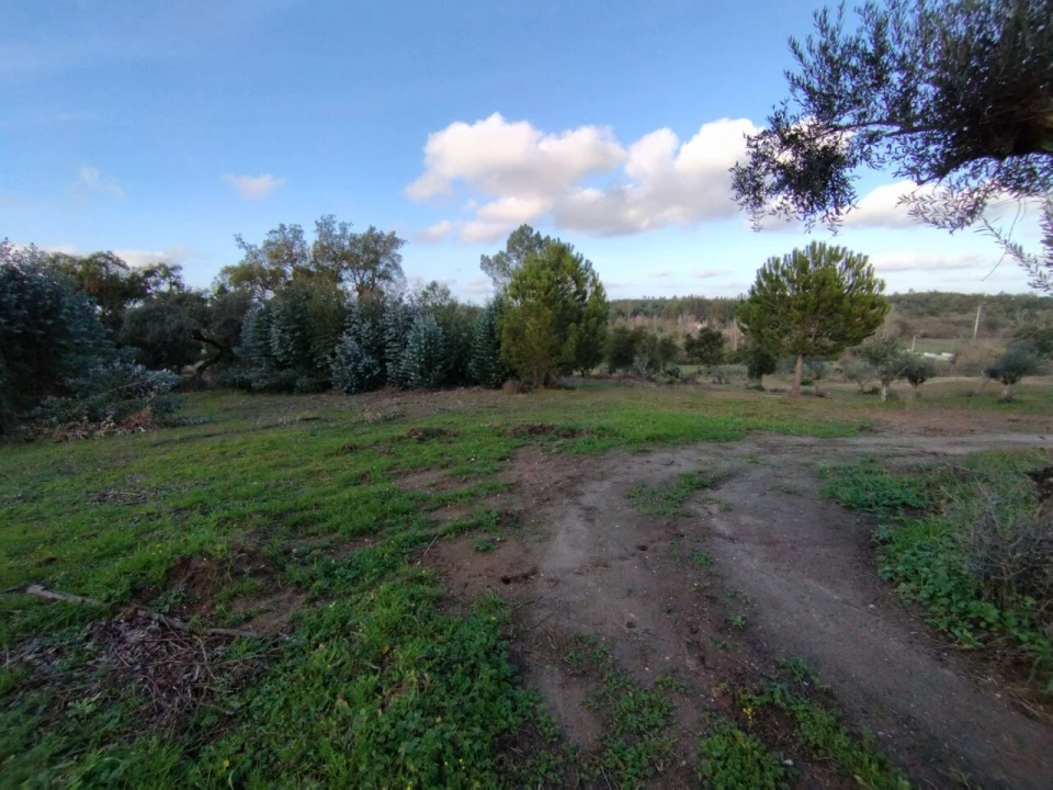 Quinta T2 para Venda em Ponte de Sor, Tramaga e Vale de Açor Foto 5