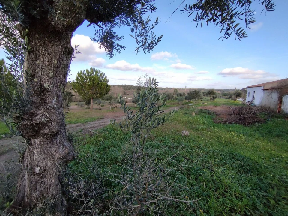 Quinta T2 para Venda em Ponte de Sor, Tramaga e Vale de Açor Foto 7