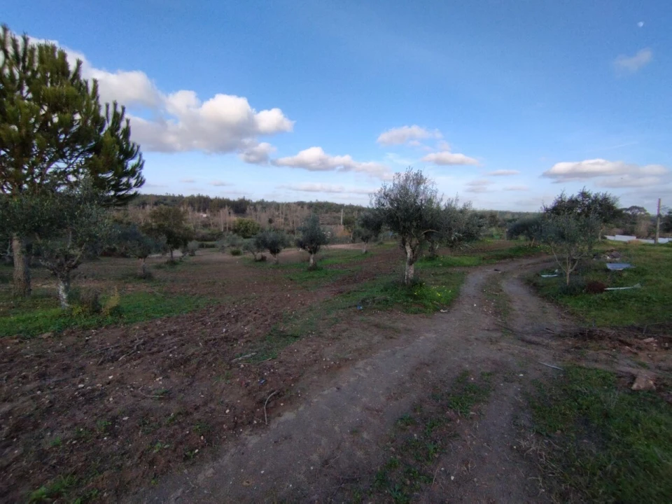 Quinta T2 para Venda em Ponte de Sor, Tramaga e Vale de Açor Foto 9