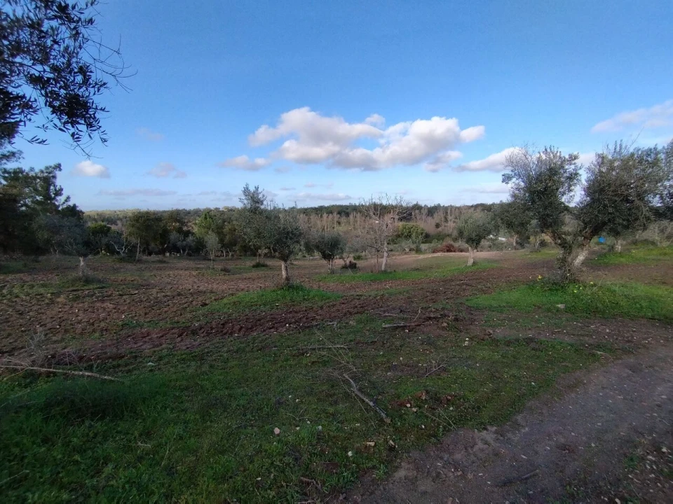 Quinta T2 para Venda em Ponte de Sor, Tramaga e Vale de Açor Foto 11
