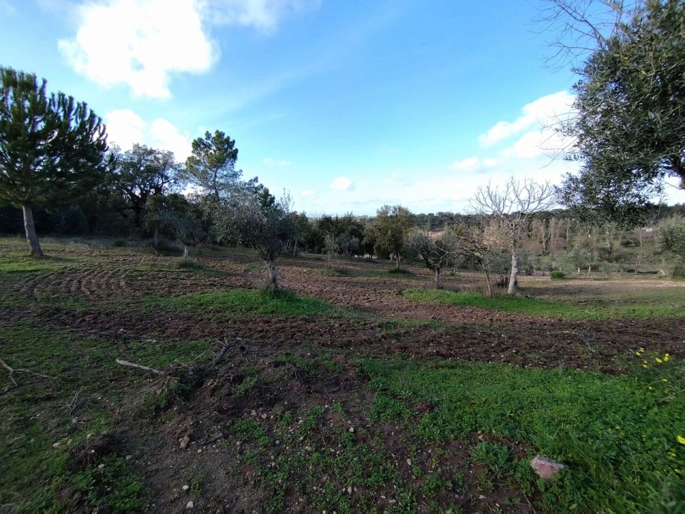 Quinta T2 para Venda em Ponte de Sor, Tramaga e Vale de Açor Foto 13