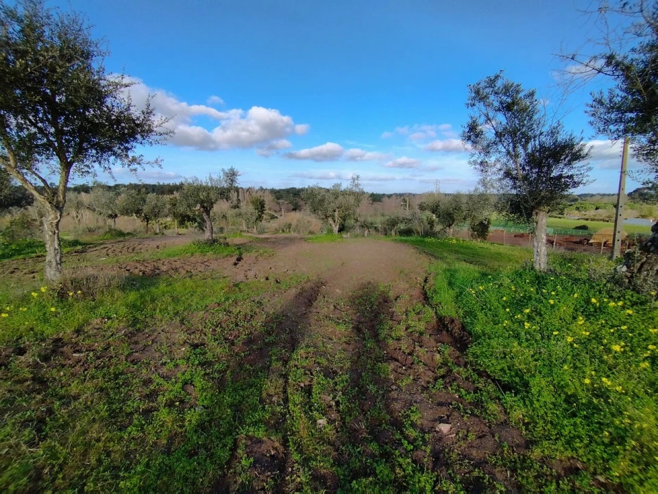Quinta T2 para Venda em Ponte de Sor, Tramaga e Vale de Açor Foto 16