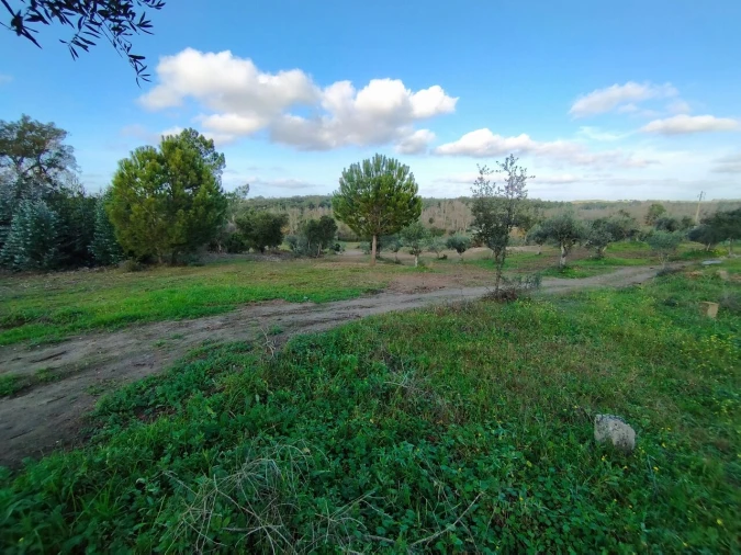 Quinta T2 para Venda em Ponte de Sor, Tramaga e Vale de Açor Foto 8
