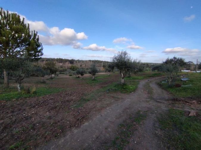 Quinta T2 para Venda em Ponte de Sor, Tramaga e Vale de Açor Foto 9