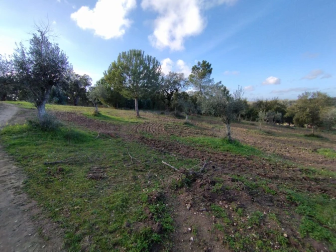 Quinta T2 para Venda em Ponte de Sor, Tramaga e Vale de Açor Foto 14