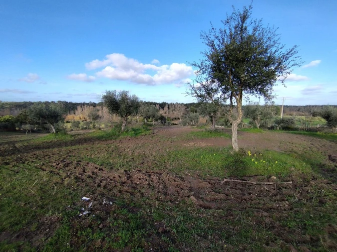 Quinta T2 para Venda em Ponte de Sor, Tramaga e Vale de Açor Foto 15