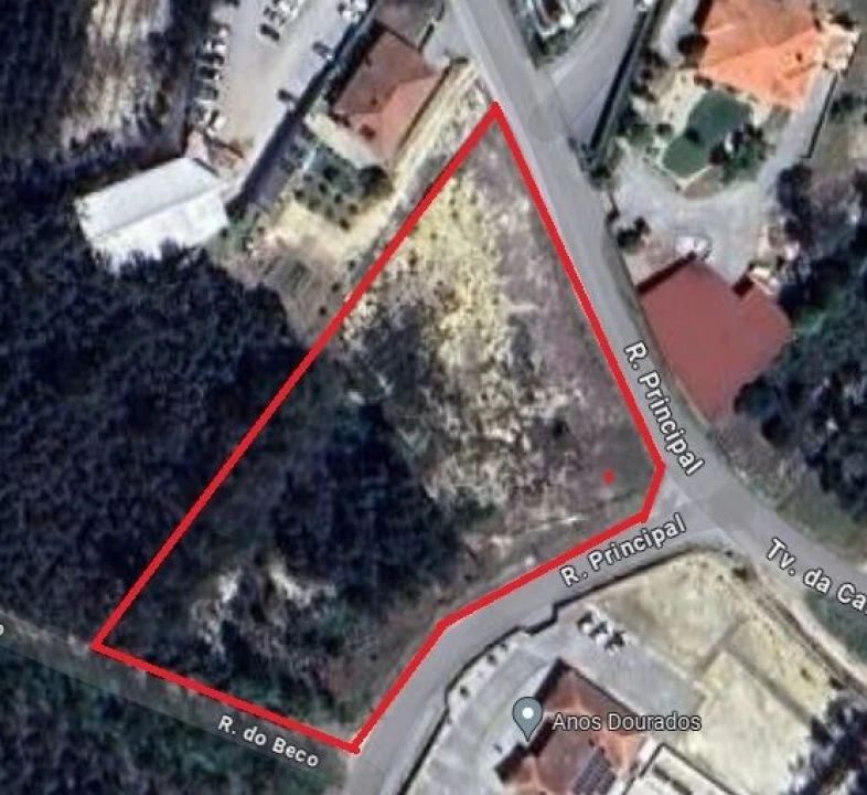 Terreno para Venda em Souto da Carpalhosa e Ortigosa Foto 1