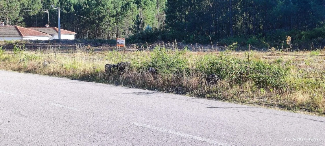 Terreno para Venda em Souto da Carpalhosa e Ortigosa Foto 5