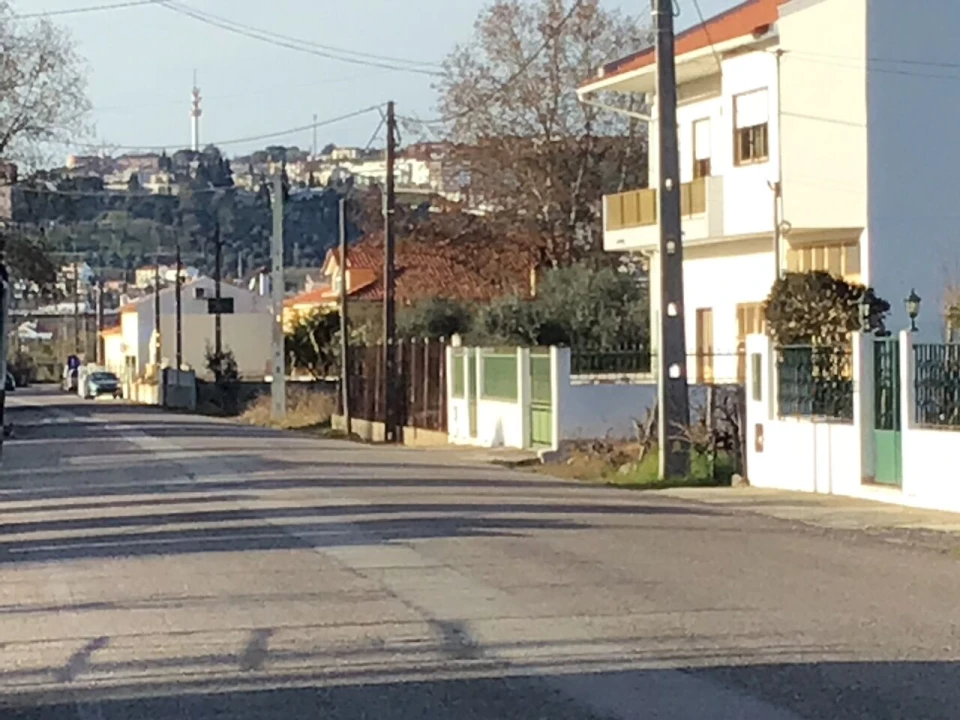 Terreno para Venda em São Miguel do Rio Torto e Rossio Ao Sul do Tejo Foto 3